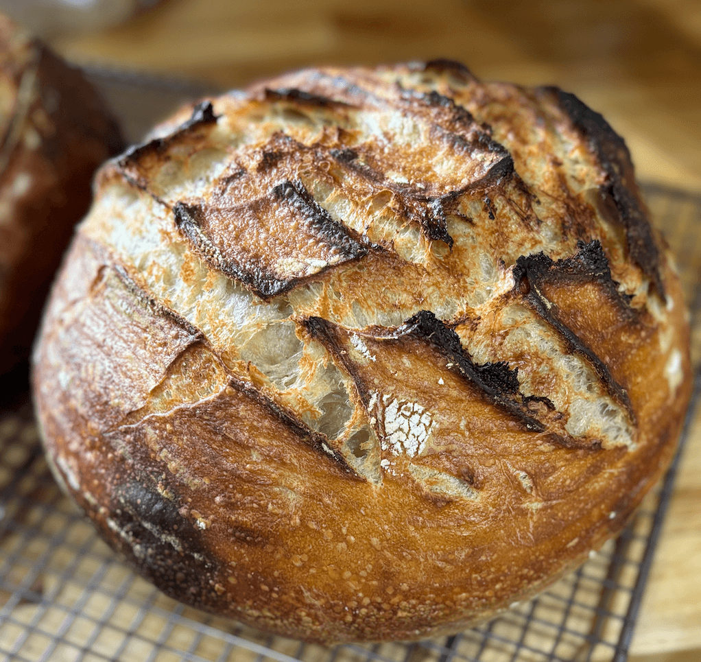 OG Sourdough