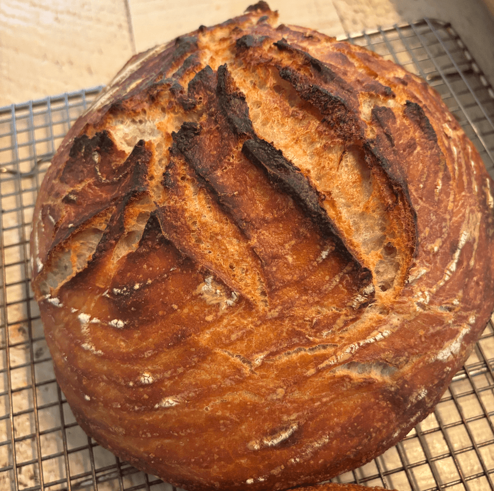 Everything Bagel Sourdough